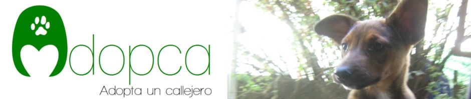 cabecera_adopca